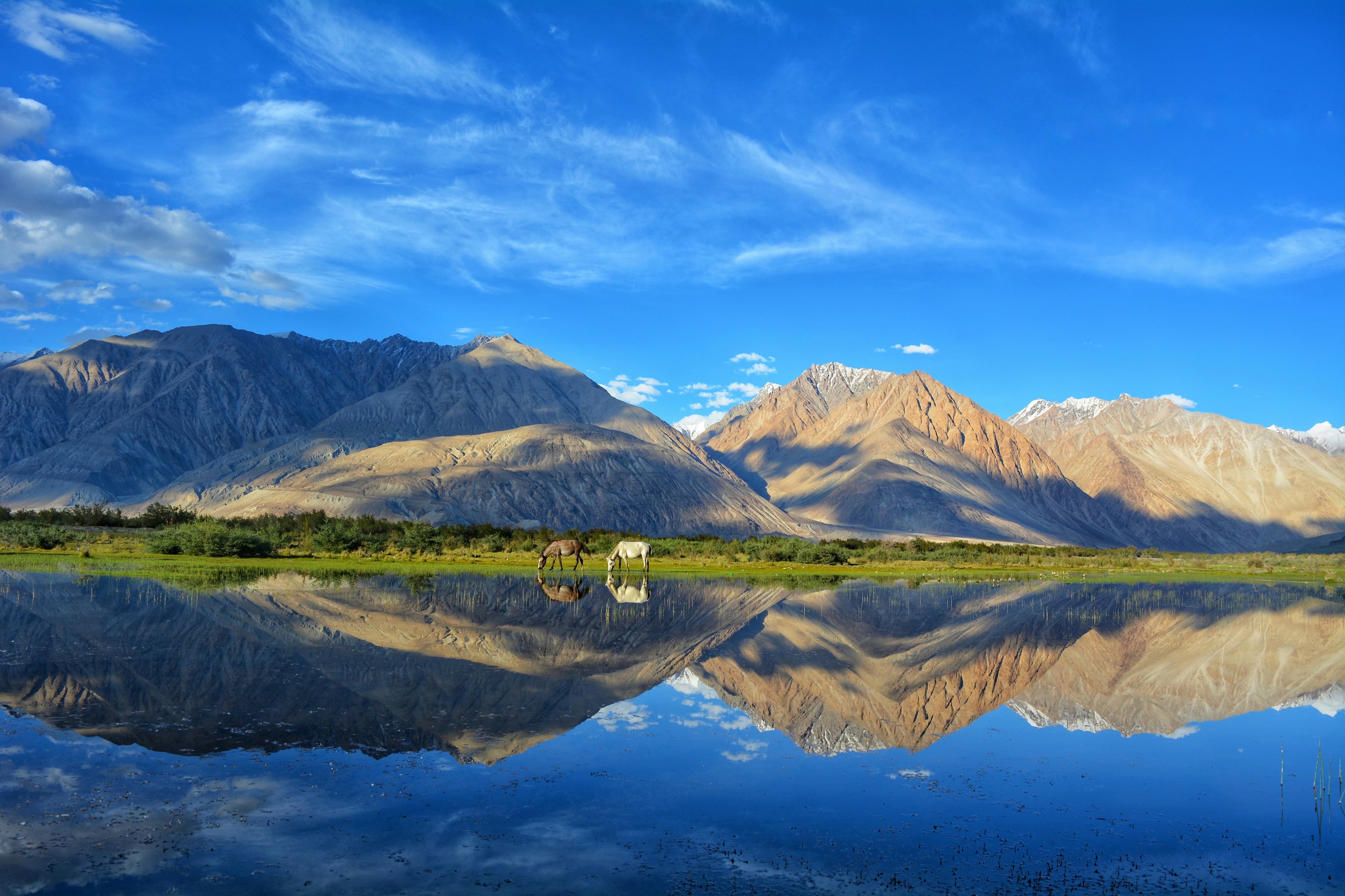 Ladakh mountain landscape